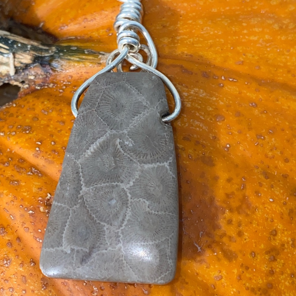 Petoskey Stone Pendant